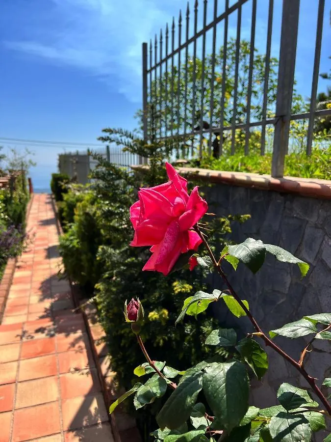 Affittacamere Etna Sunshine Rent Rooms Puntalazzo