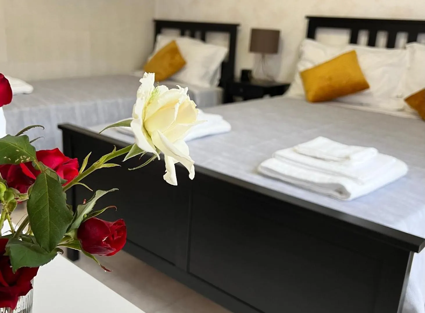 Etna Sunshine Rent Rooms Puntalazzo Affittacamere